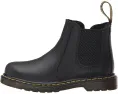 Детские ботинки Dr. Martens 2976 Chelsea для малышей с молнией