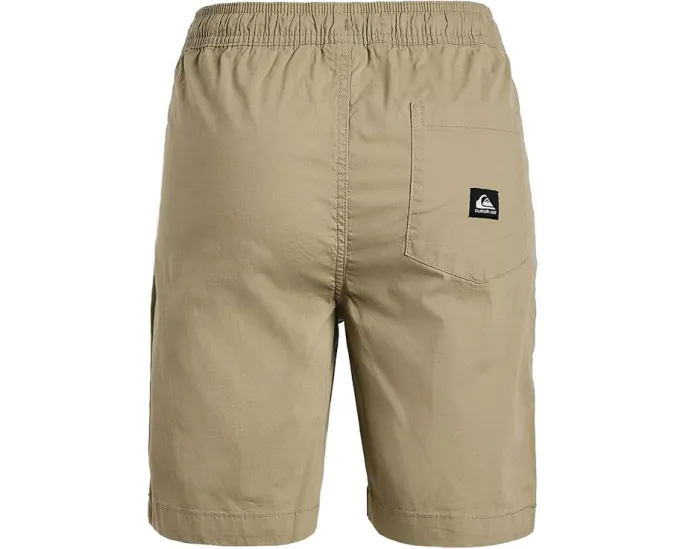 Детские шорты Taxer с низкой посадкой и эластичным поясом Quiksilver Kids