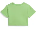 Футболка Polo Ralph Lauren с логотипом Big Pony