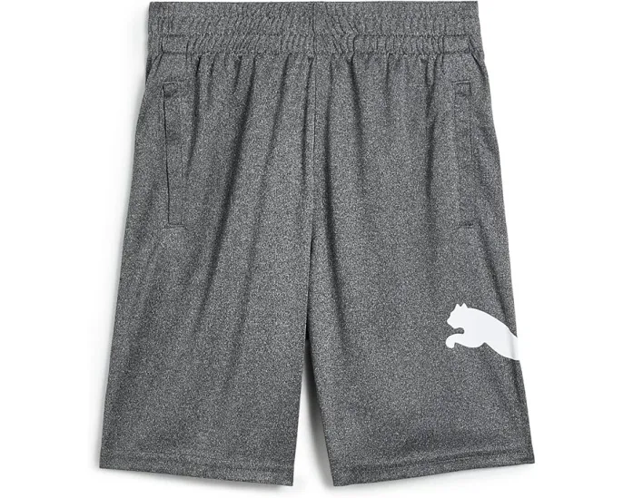 Спортивные шорты Boys Core Essential Puma