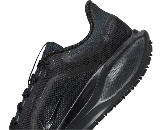 Беговые кроссовки Nike Pegasus 41 GORE-TEX с защитой от воды