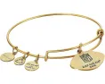 Браслет Alex and Ani Detroit Lions NFL