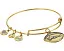 Браслет Alex and Ani Detroit Lions NFL