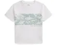 Детская футболка Polo Ralph Lauren с принтом акулы из хлопка