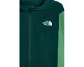 Детская флисовая кофта The North Face Glacier Full Zip с капюшоном