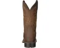 Ковбойские сапоги Ariat Hybrid Rancher с широким квадратным носком