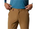 Треккинговые штаны Basin от Mountain Hardwear