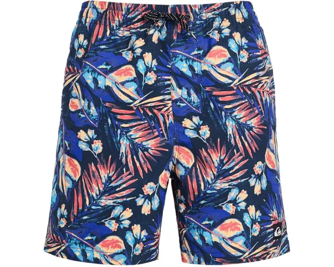 Детские спортивные шорты Everyday Mix Volley с принтом Quiksilver Kids