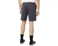 Шорты Volcom Frickin E-Waist 19 дюймов с эластичным поясом