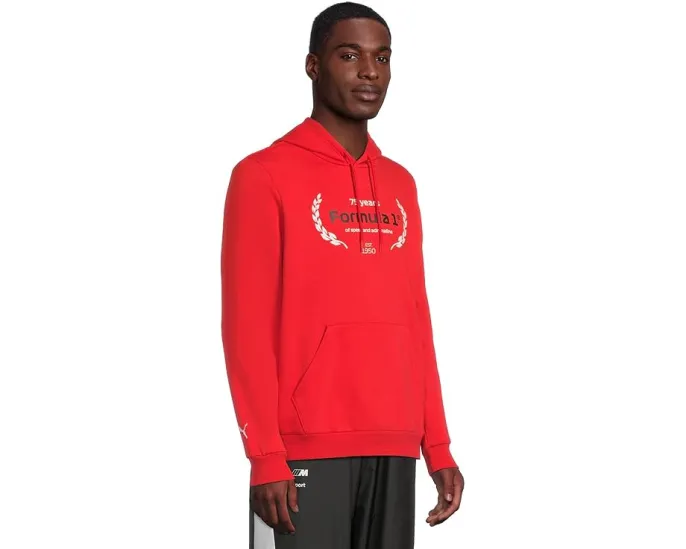 Худи Formula 1 Graphic с капюшоном и карманом кенгуру