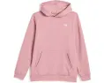 Худи The North Face Evolution Simple Dome с капюшоном для детей