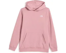 Худи The North Face Evolution Simple Dome с капюшоном для детей
