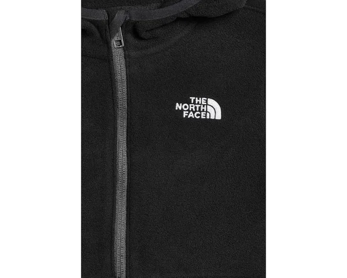 Худи The North Face Glacier Full Zip с капюшоном для малышей