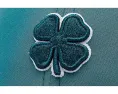 Женская кепка Black Clover Hollywood 39 с вышитой надписью Live Lucky и 3D логотипом