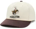 Кепка Pendleton Novelty Snapback с жесткой тульей и принтом