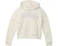 Детская толстовка Adidas Graphics Fleece Hooded Pullover с капюшоном