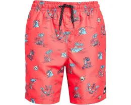 Детские спортивные шорты Everyday Mix Volley с принтом Quiksilver Kids