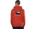 Толстовка The North Face Evolution Box NSE с капюшоном и принтом на спине