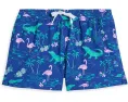 Плавки The Swamp And Circumstances Chubbies Kids с подкладкой и карманами