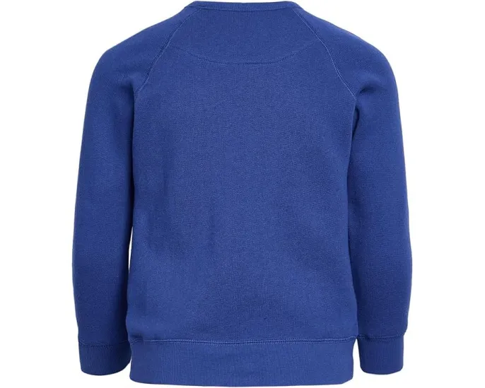 Футболка Junk Food Clothing Kids с длинным рукавом и принтом New England Patriots для детей