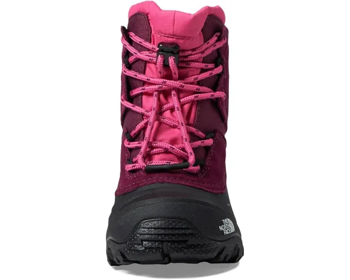 Детские водонепроницаемые ботинки The North Face Alpenglow V на шнурках-резинках