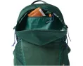Рюкзак Elqui18L Backpack от Cotopaxi с вентилируемой спинкой