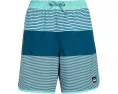 Детские пляжные шорты Surfsilk Tijuana Volley с карманом Quiksilver Kids