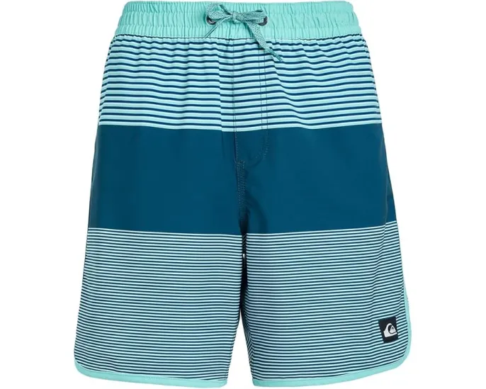 Детские пляжные шорты Surfsilk Tijuana Volley с карманом Quiksilver Kids