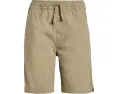 Детские шорты Taxer с низкой посадкой и эластичным поясом Quiksilver Kids