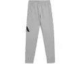 Adidas повседневные джоггеры Essential Big Logo Fleece Heather для детей