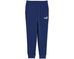 Детские спортивные штаны Puma Foundations Essential French Terry Joggers из футера
