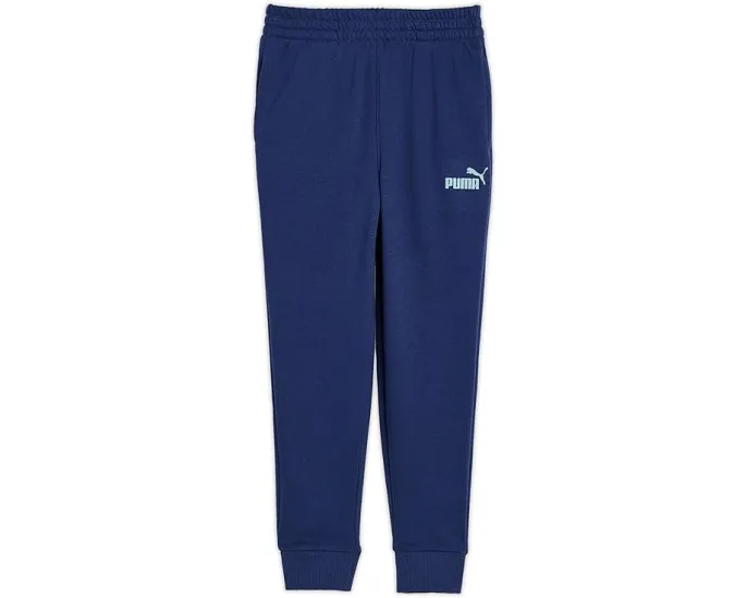 Детские спортивные штаны Puma Foundations Essential French Terry Joggers из футера