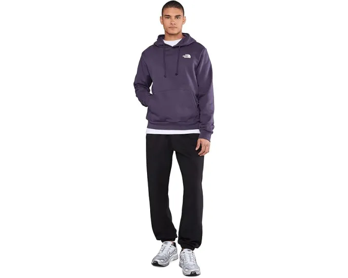 Толстовка The North Face Evolution Box NSE с капюшоном и принтом на спине