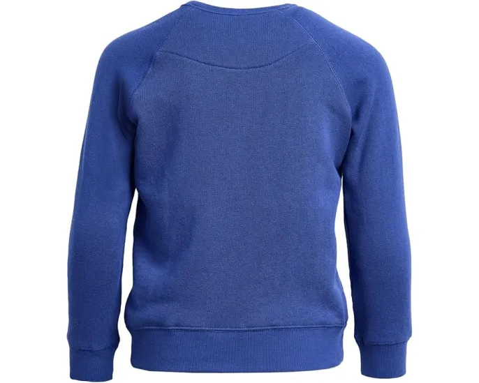 Толстовка NFL New York Giants реглан из флиса для детей Junk Food Clothing