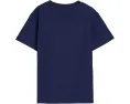 Детская футболка Polo Ralph Lauren Kids Flag Cotton с аппликацией американского флага