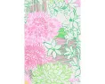 Платье Little Lilly Classic Shif от Lilly Pulitzer с бантами по бокам