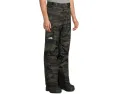 Брюки The North Face Freedom Pants Print с классическим кроем и карманами на молнии