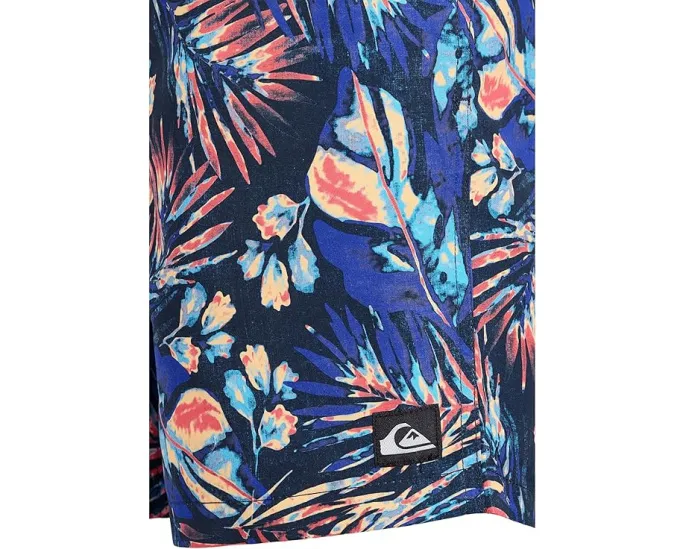 Детские спортивные шорты Everyday Mix Volley с принтом Quiksilver Kids