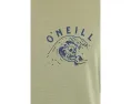 Футболка O'Neill Sesh Classic с коротким рукавом