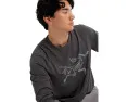 Arc'teryx Футболка Cormac Logo Long Sleeve с принтом на рукавах