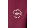The North Face футболка Evolution TNF NSE Relaxed с коротким рукавом