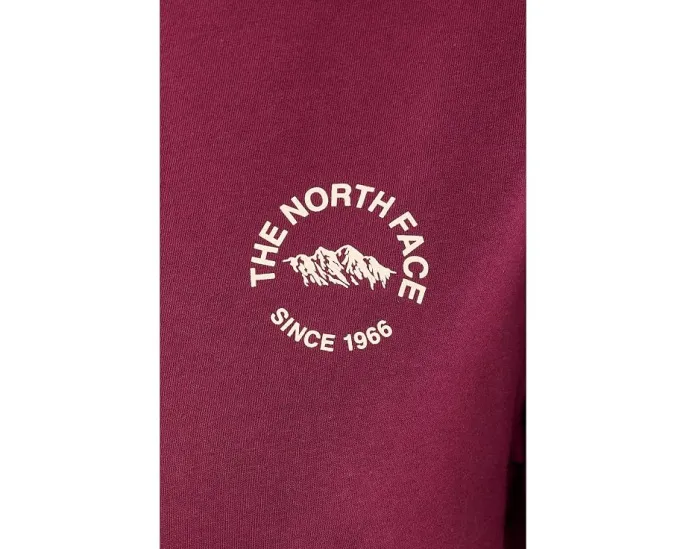 The North Face футболка Evolution TNF NSE Relaxed с коротким рукавом