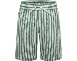 Hurley Kids плавки Mini Vacay Stripe с эластичным поясом и сетчатой подкладкой