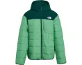 The North Face Детская реверсивная куртка Shasta с капюшоном и утеплителем
