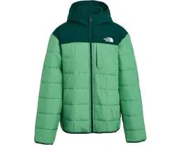 The North Face Детская реверсивная куртка Shasta с капюшоном и утеплителем