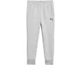 Детские спортивные штаны Puma Essential Basics Logo Fleece Joggers с утяжкой и карманами