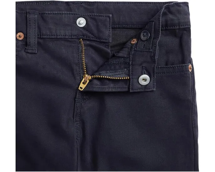 Узкие брюки из стрейч-сатина Sullivan Slim от Polo Ralph Lauren Kids для малышей