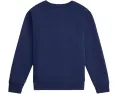 Толстовка Polo Ralph Lauren с медведем из флиса для малышей и детей младшего возраста