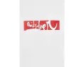 Футболка Quiksilver YG Impaired Surf Screen Tee с графикой