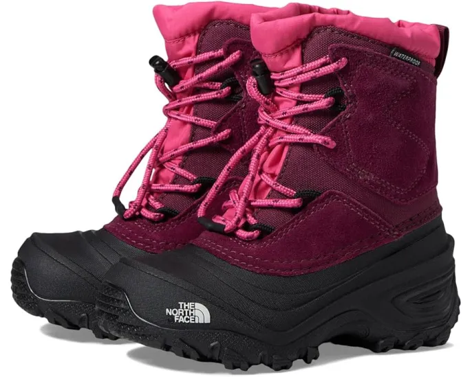 Детские водонепроницаемые ботинки The North Face Alpenglow V на шнурках-резинках